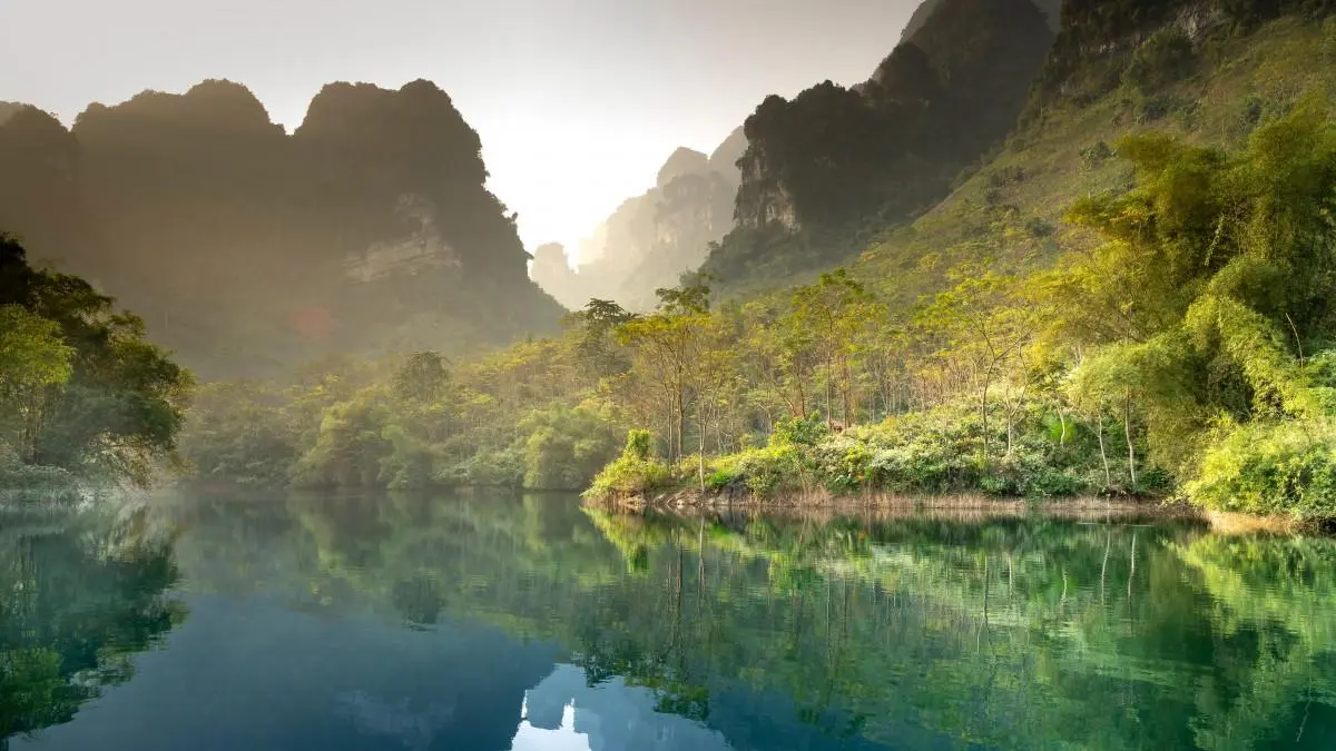 独特可靠性智能